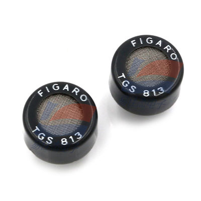 TGS813 Sensore di gas a semiconduttore per il rilevamento di perdite di gas domestico