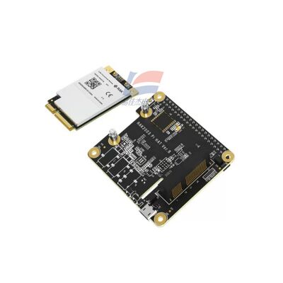YJJ RAK5146 Modulo di concentratore PiHAT adatto a LoRaWAN per la raccolta dei dati dei sensori