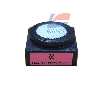 YJJ 1LEL 75C PM989-600A-CIT Sensore di gas elettrochimici combustibili