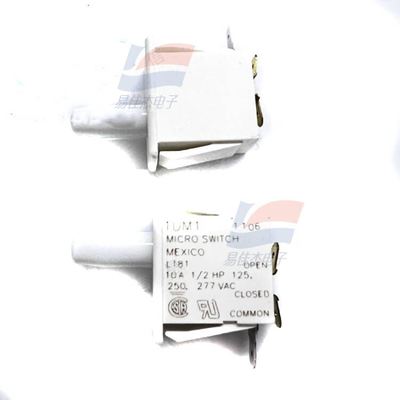 Microinterruttore YJJ 1DM1 Basic/Rapido 10A 277VAC Pistone Unipolare a Doppia Derivazione