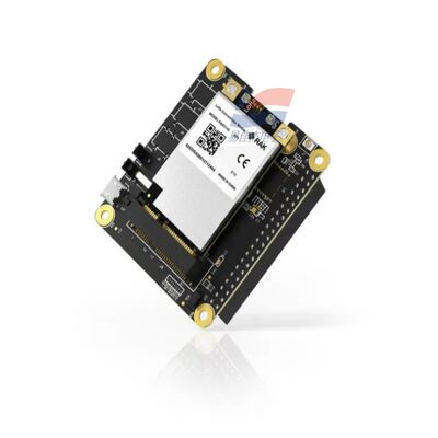 YJJ RAK5146 Modulo di concentratore PiHAT adatto a LoRaWAN per la raccolta dei dati dei sensori